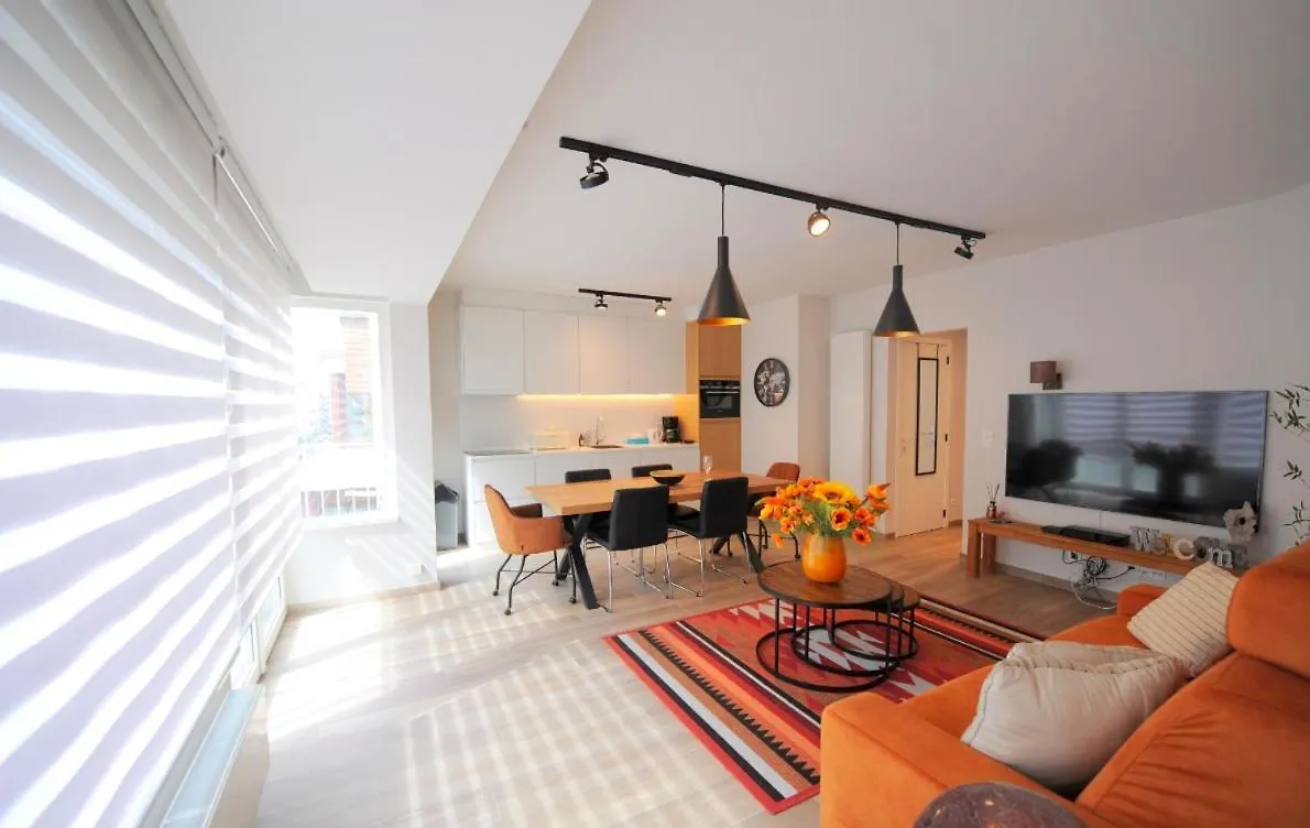 Belverdi Oostende City & Beach contacts